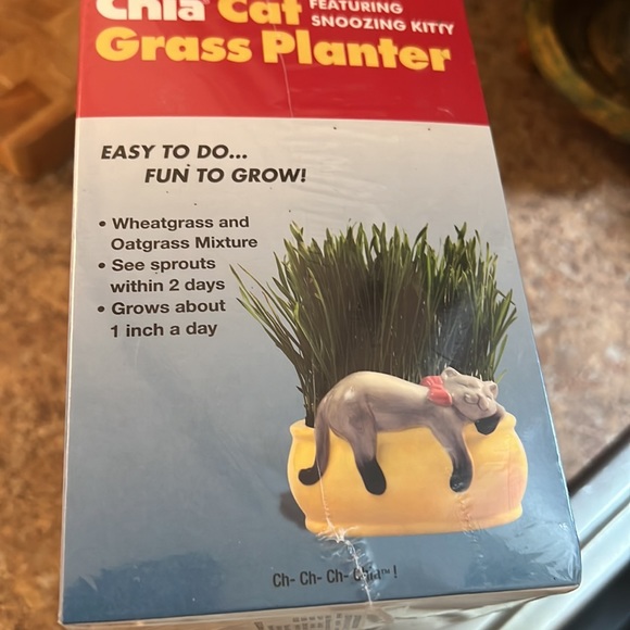 Chia Cat Grass Planter New - Picture 2 of 3